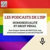 Homosexualité et droit pénal