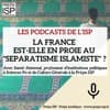 La France est-elle en proie au « séparatisme islamiste » ?